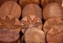 Cannabis Research While Federally Illegal?