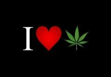 National Cannabis Legalization Update